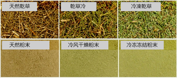 天然乾草, 乾草冷, 冷凍乾草, 天然粉末, 冷风干燥粉末, 冷冻冻结粉末