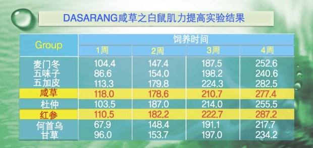 Results of the experiment of rats to figure out muscular strength changes after consuming dasarang hamcho