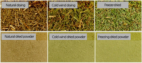 Natural drying, Cold wind Drying, Freeze-dried, Natural dried powder, Cold wind dried powder, Freezing dreid powder
