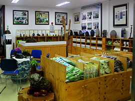 7.Dasarang Hamcho Exhibition Hall