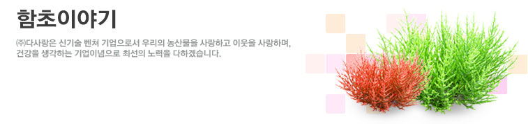 함초이야기