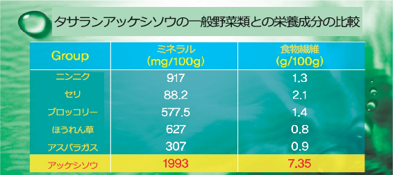 タサランアッケシソウの一般野菜類との栄養成分の比較
