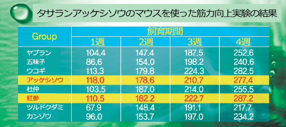 タサランアッケシソウのマウスを使った筋力向上実験の結果